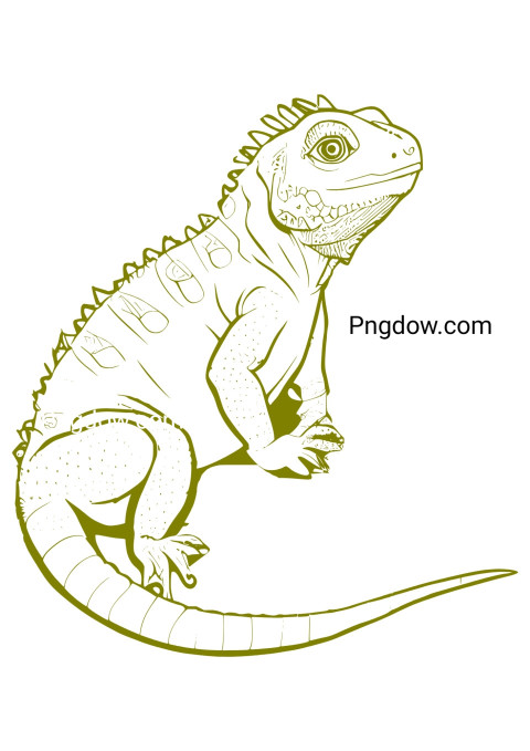 Printable Iguana Coloring Page