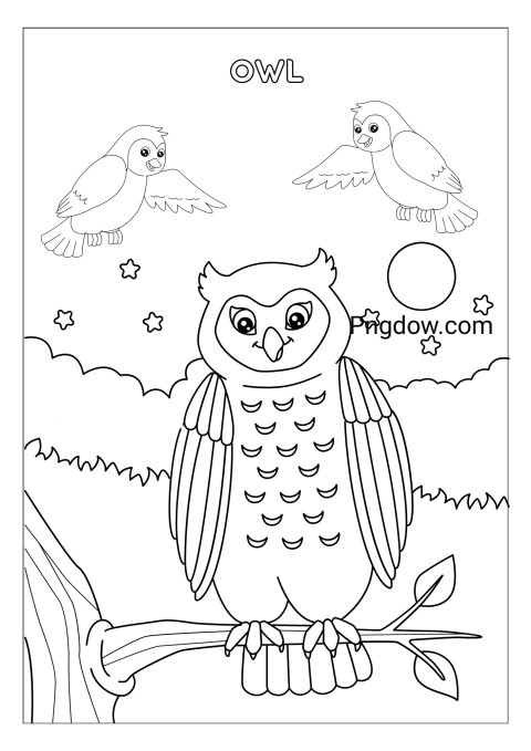 Owl Coloring Page for Kids