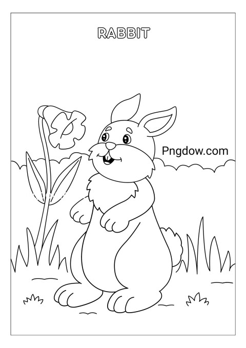 Rabbit Coloring Page for Kids
