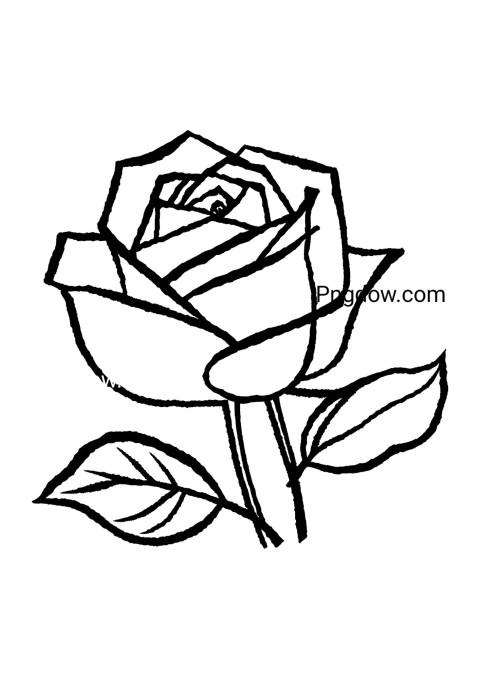 A black and white flower drawing of a rose on a white background