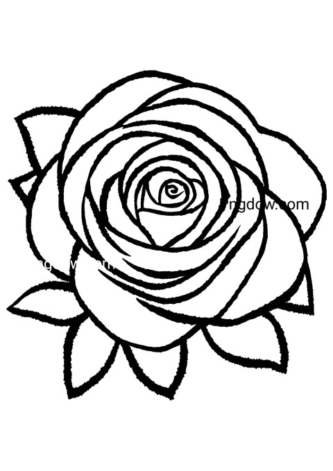 Monochrome rose coloring page featuring a single rose, flower drawing
