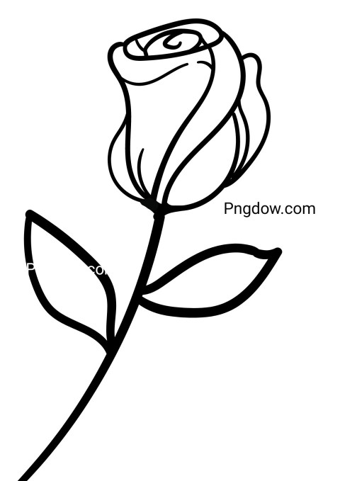 Black and white sketch of a rose on a white backdrop