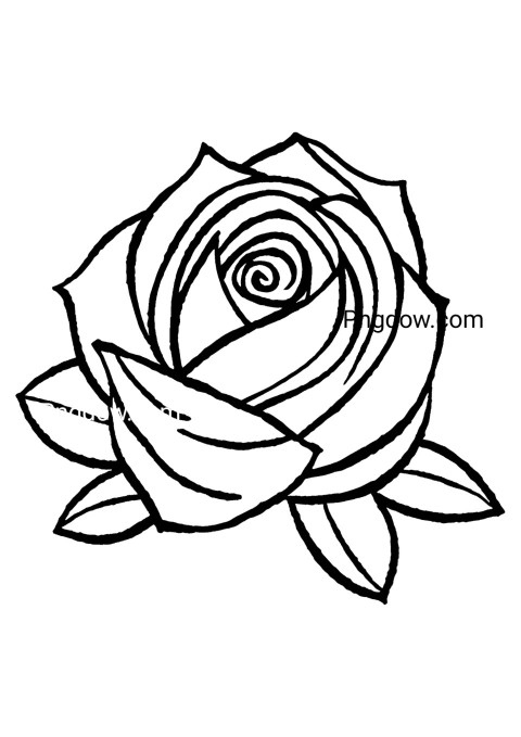 Simple black and white illustration of a rose on white canvas