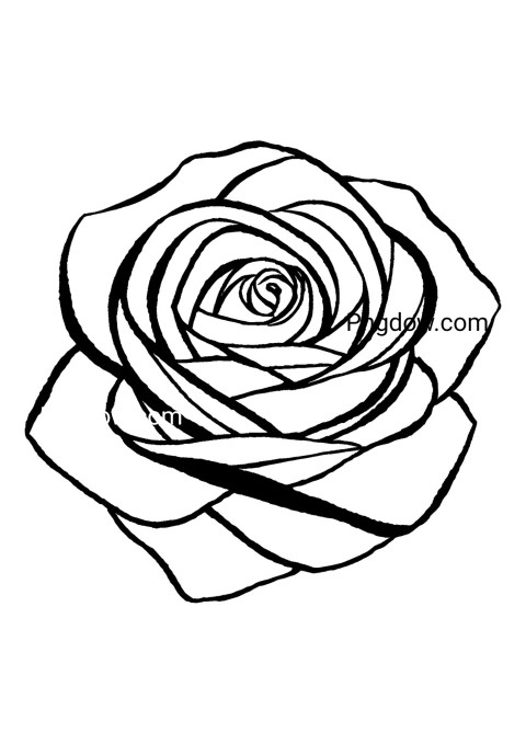 flower drawing of a rose coloring page with leaves
