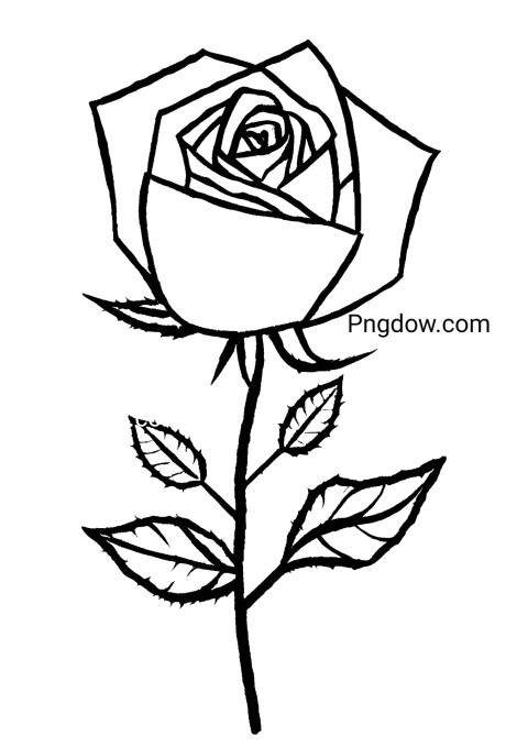 A coloring page featuring a black outlined rose