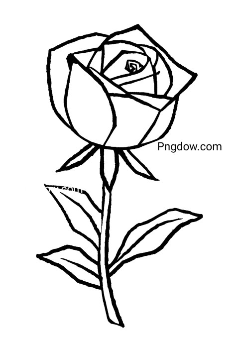 An outlined rose on a flower drawing coloring page