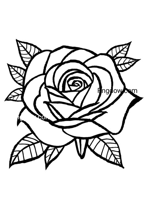 Black and white rose illustration on floral sketchbook