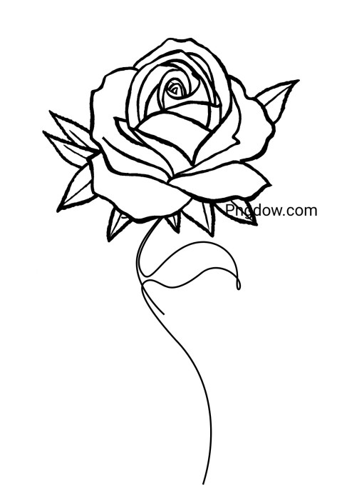 Monochrome rose sketch on white backdrop, ideal for flower drawing page