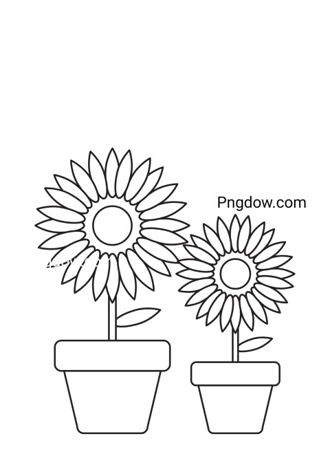 Sunflower coloring pages for kids featuring a beautiful sunflower drawing