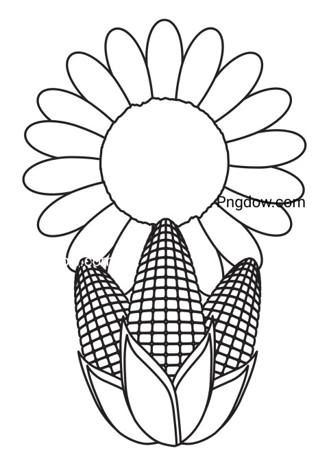 Coloring pages featuring corn and sunflower drawings