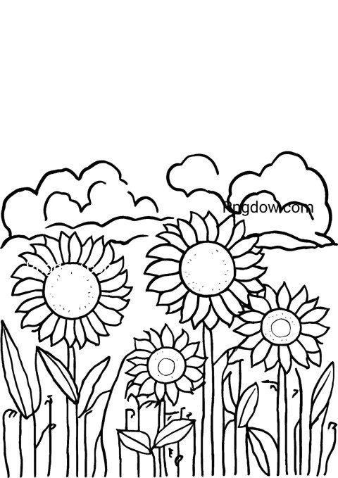Kids' coloring pages with a sunflower drawing for a fun and creative activity