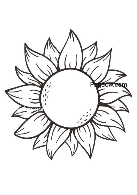 Sunflower coloring page featuring a detailed sunflower drawing for free