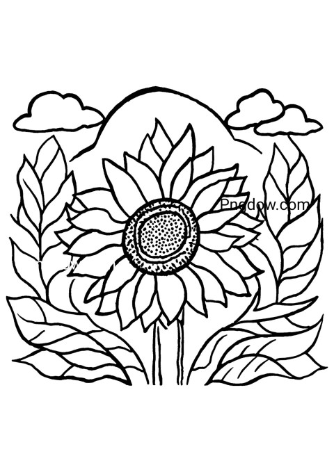 Sunflower coloring pages for kids featuring a beautiful sunflower drawing for free