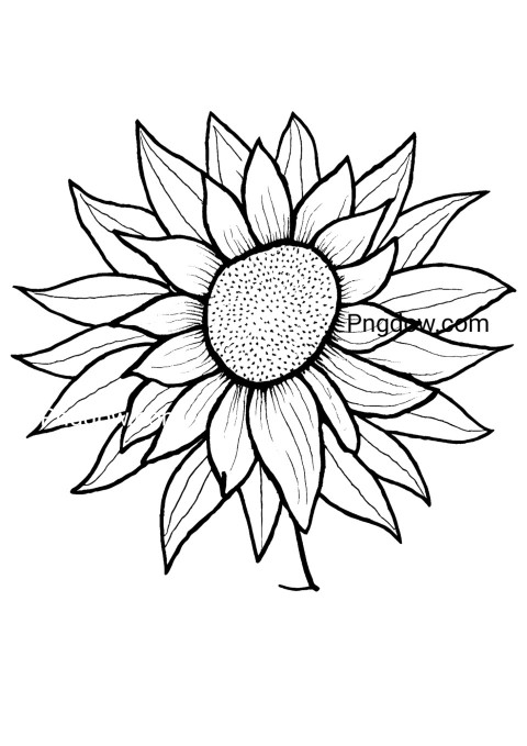 Free sunflower coloring page with a beautiful sunflower illustration