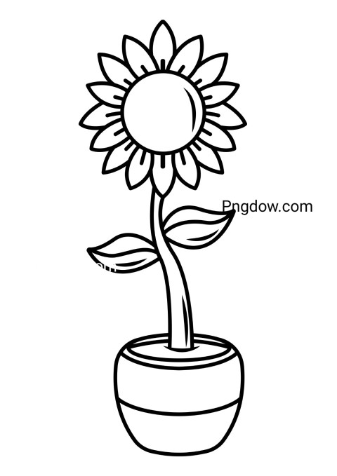 Sunflower flower in pot coloring page with intricate details for a relaxing coloring experience