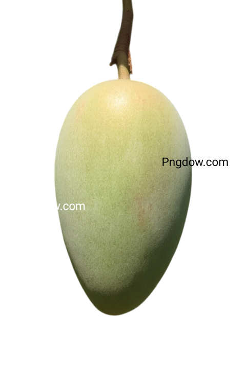 mango png image hd