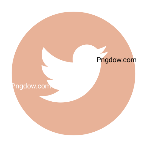 Twitter icon Png Transparent For Free Download, (28)