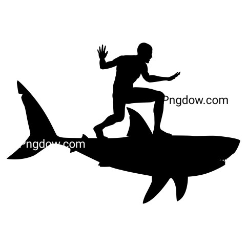 Shark Surfer Silhouette ,vector image For Free Download