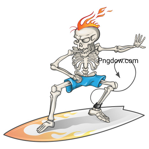 Skeleton Surfer ,vector image For Free Download