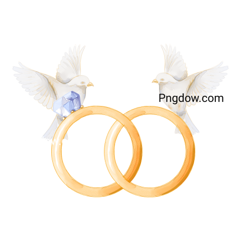 Watercolor wedding rings with birds For Free