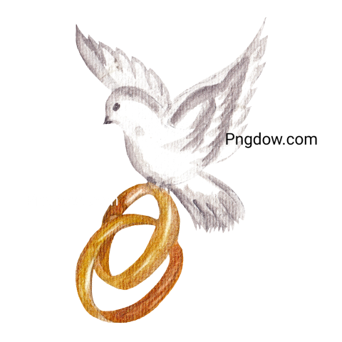 Watercolor Dove with Wedding Rings For Free