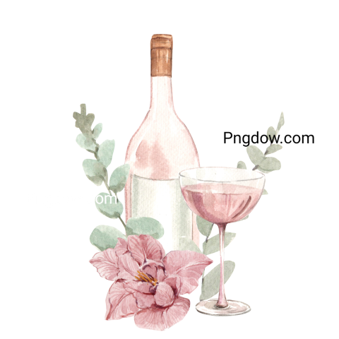 Wedding Wine and Flowers Illustration for Free