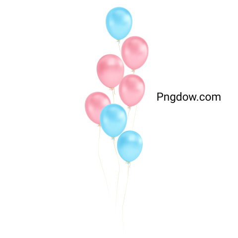 Blue pink balloons for Free Download