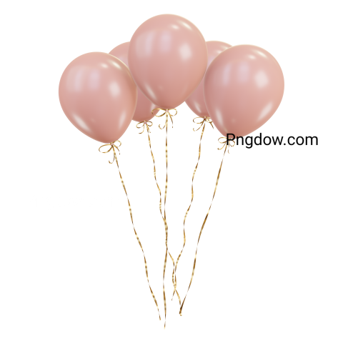 Pink balloons with gold ribbons  3d rendering for Free Download (2)