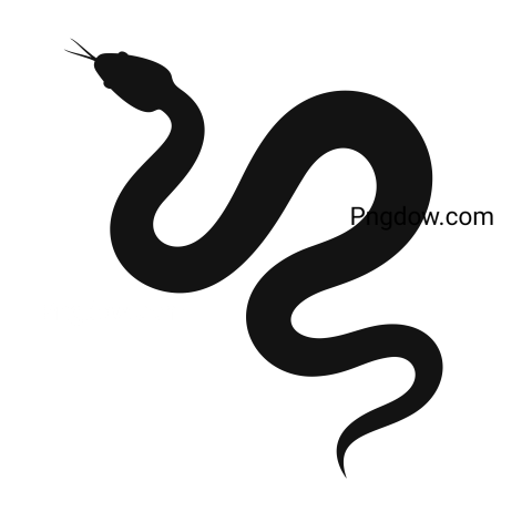 Anaconda Png Transparent For Free Download, (43)