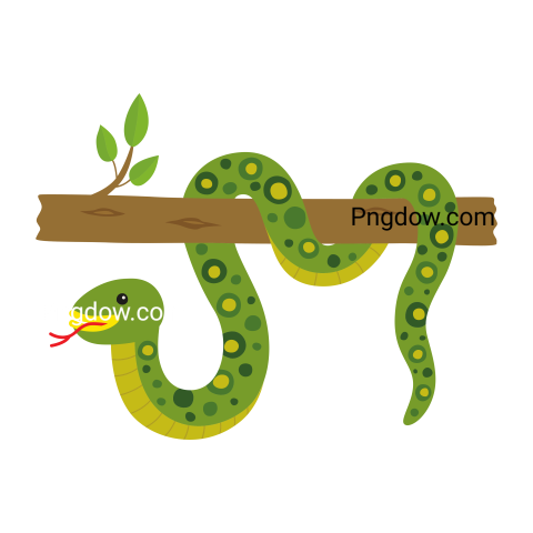 Anaconda Png Transparent For Free Download, (62)