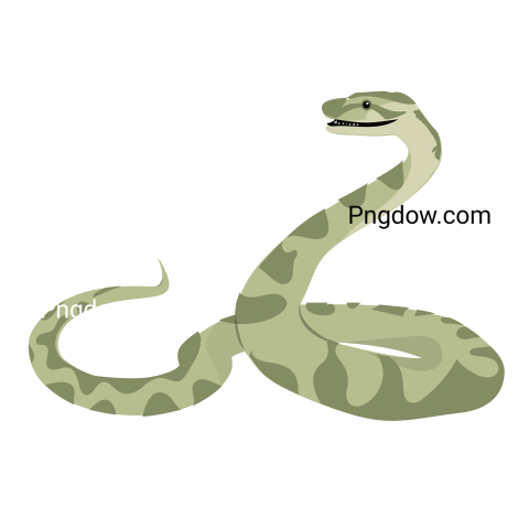 Anaconda Png Transparent For Free Download, (53)