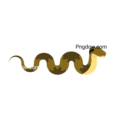 Anaconda Png Transparent For Free Download, (57)