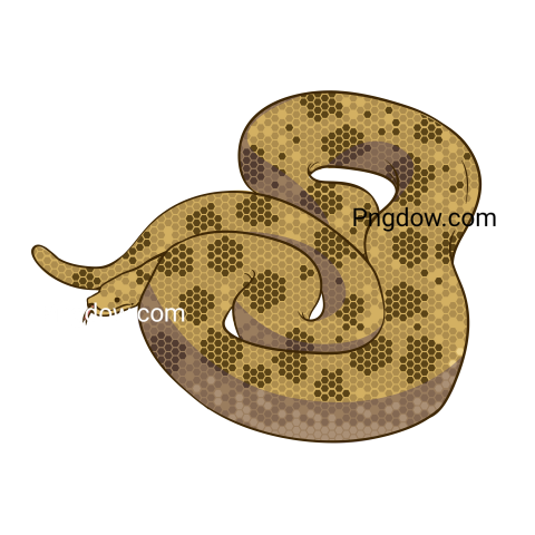 Anaconda Png Transparent For Free Download, (54)