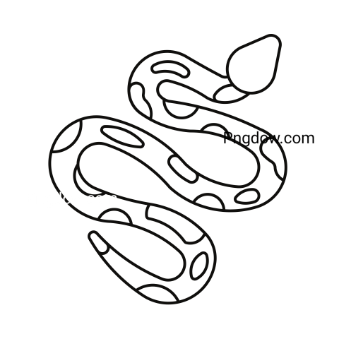 Anaconda Png Transparent For Free Download, (38)