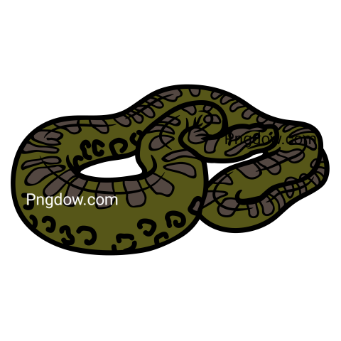 Anaconda Png Transparent For Free Download, (20)