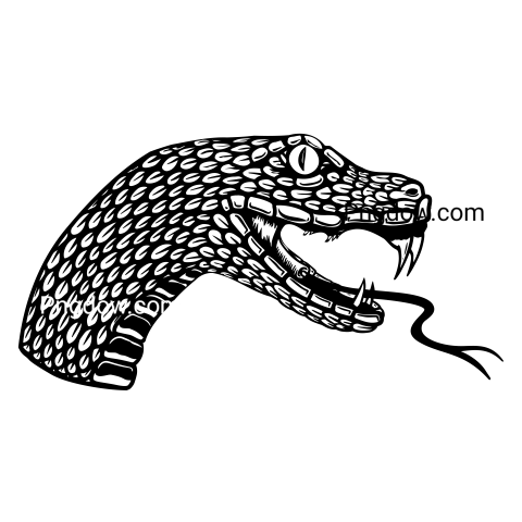 Anaconda Png Transparent For Free Download, (15)