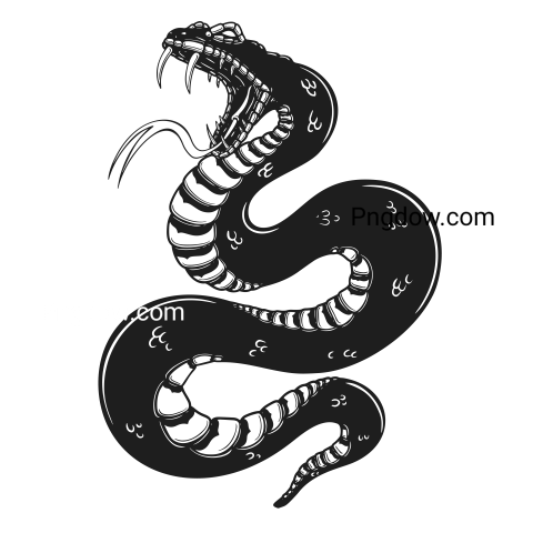Anaconda Png Transparent For Free Download, (9)
