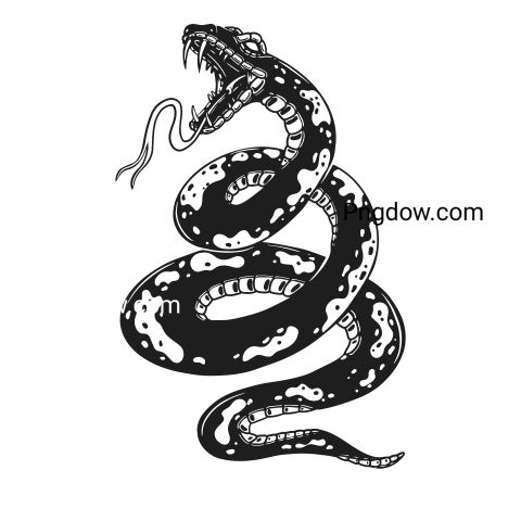 Anaconda Png Transparent For Free Download, (13)