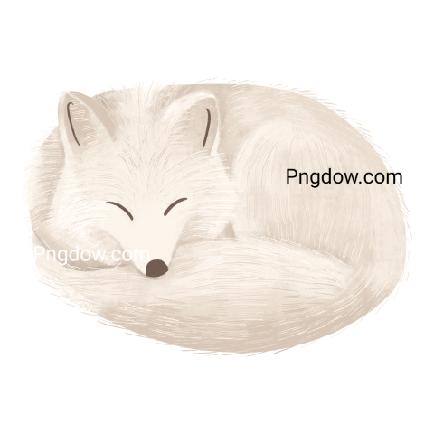 White Arctic Fox Png free download