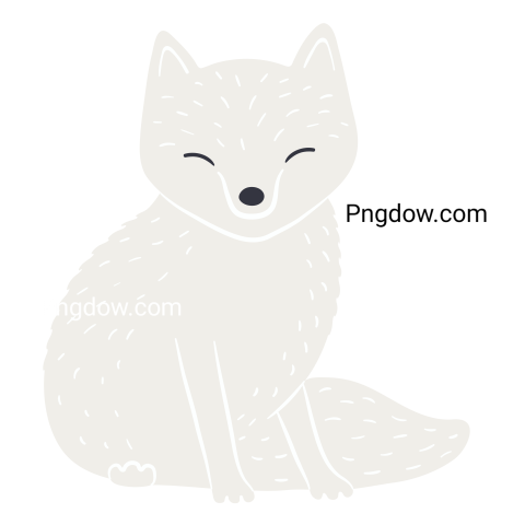 Cute cartoon arctic fox hand drawn character illustration
