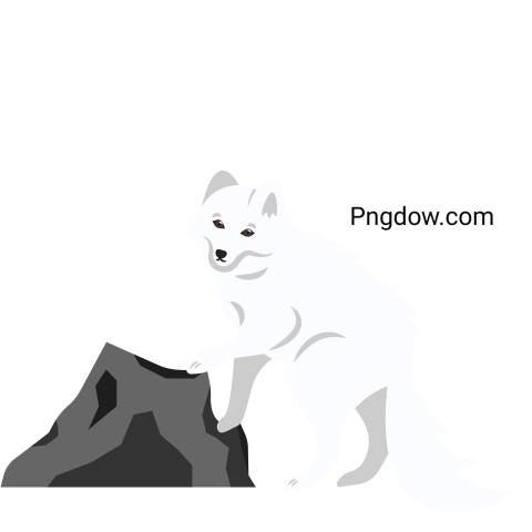 Arctic Fox on a Stone Illustration for Free