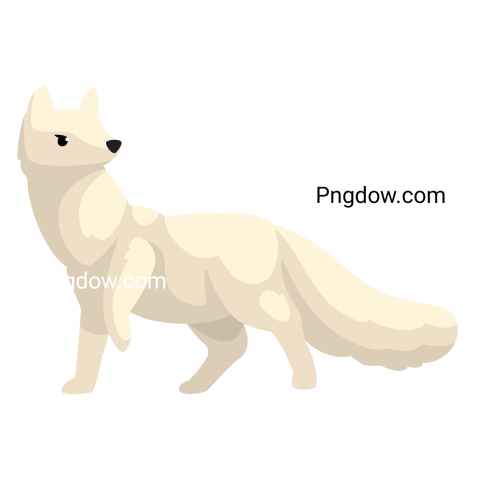 White Polar Fox Arctic Animal Vector Illustration on a White Background