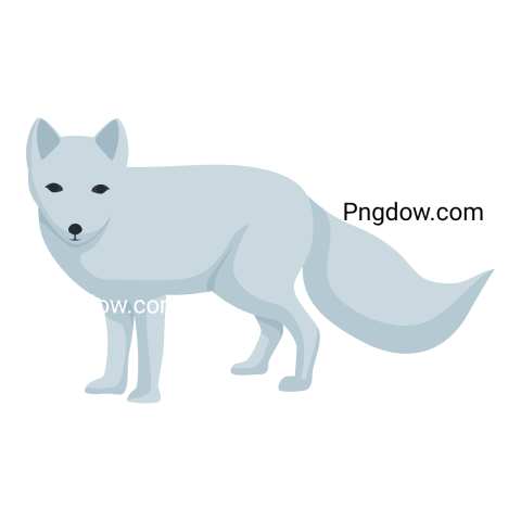 Arctic fox transparent background for Free