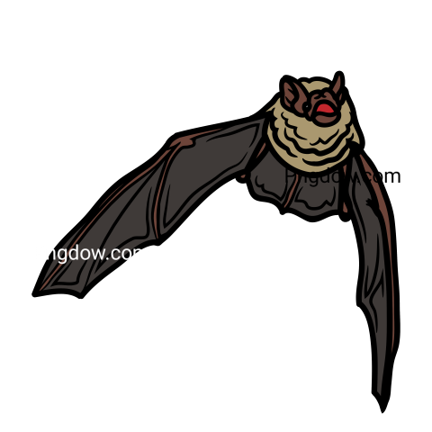 Bat Png Transparent Background, for Free Vector, (17)