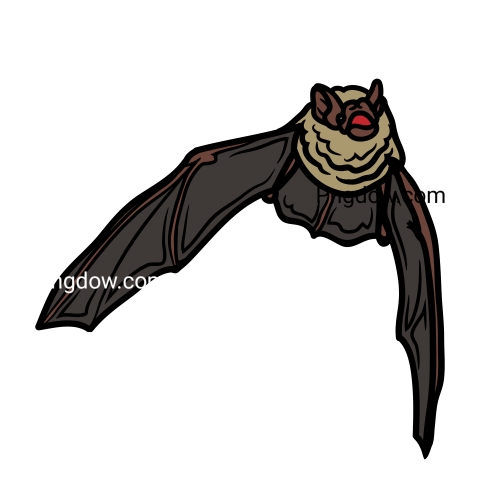 Bat Png Transparent Background, for Free Vector, (49) - Photo #4096 ...