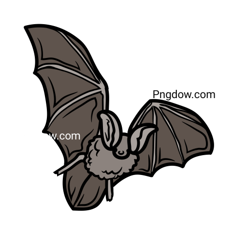 Bat Png Transparent Background, for Free Vector, (13)