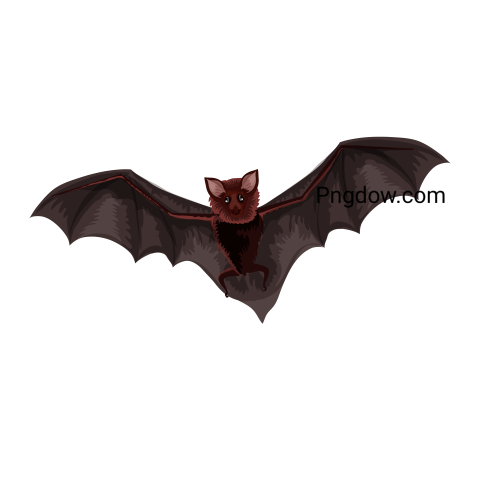 Bat Png Transparent Background, for Free Vector, (28)