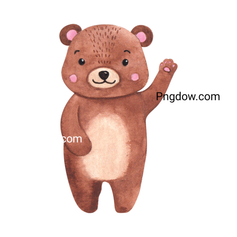 Bear Png Transparent Background, for Free Vector, (24)