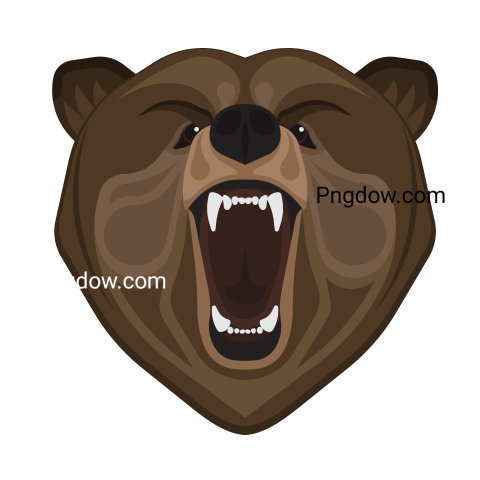 Bear Png Transparent Background, for Free Vector, (4)