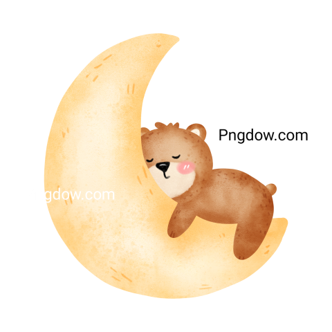 Bear Png Transparent Background, for Free Vector, (48)